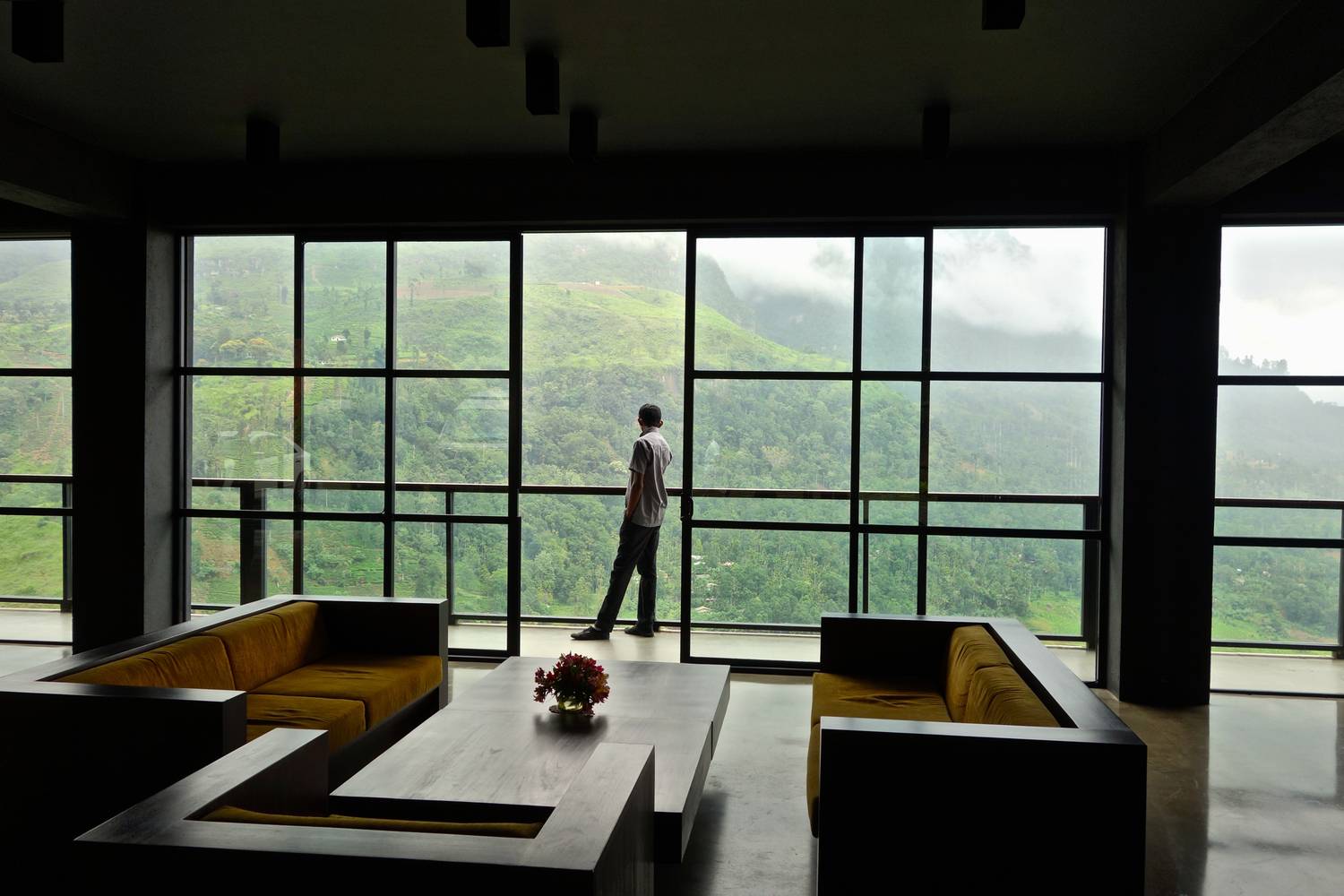 Vista Verde