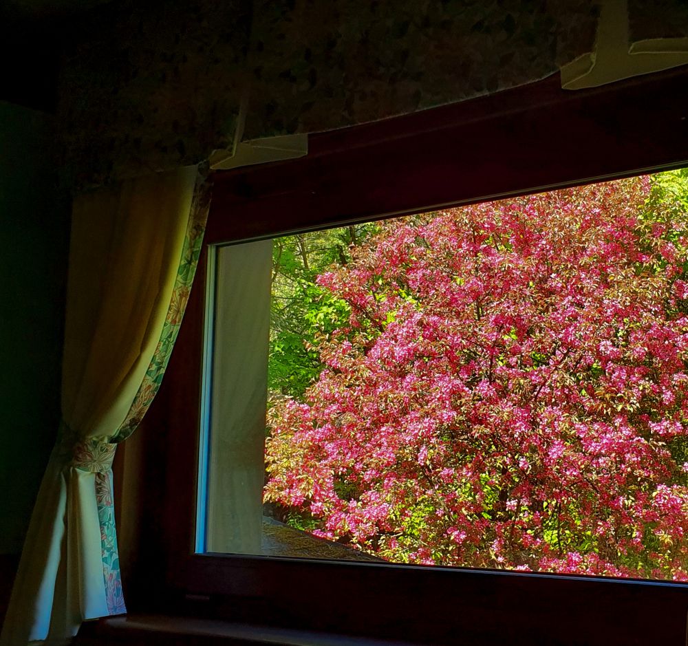 Photograph by Елена Павелко