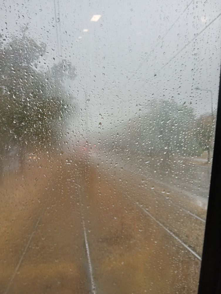 Дождь сентября / Deszcz wrześniowy / September Rain