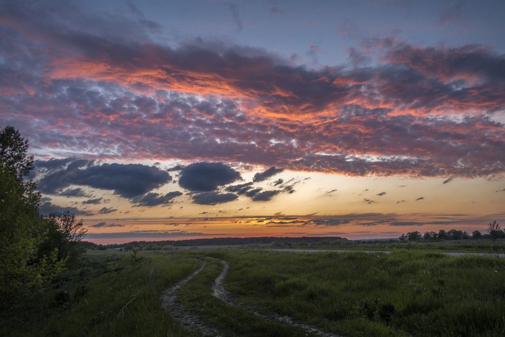 Photograph by АНДРЕЙ АБАКУМОВ