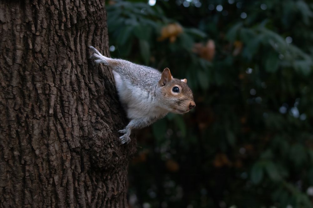 Photograph by Alexander Pakhomov