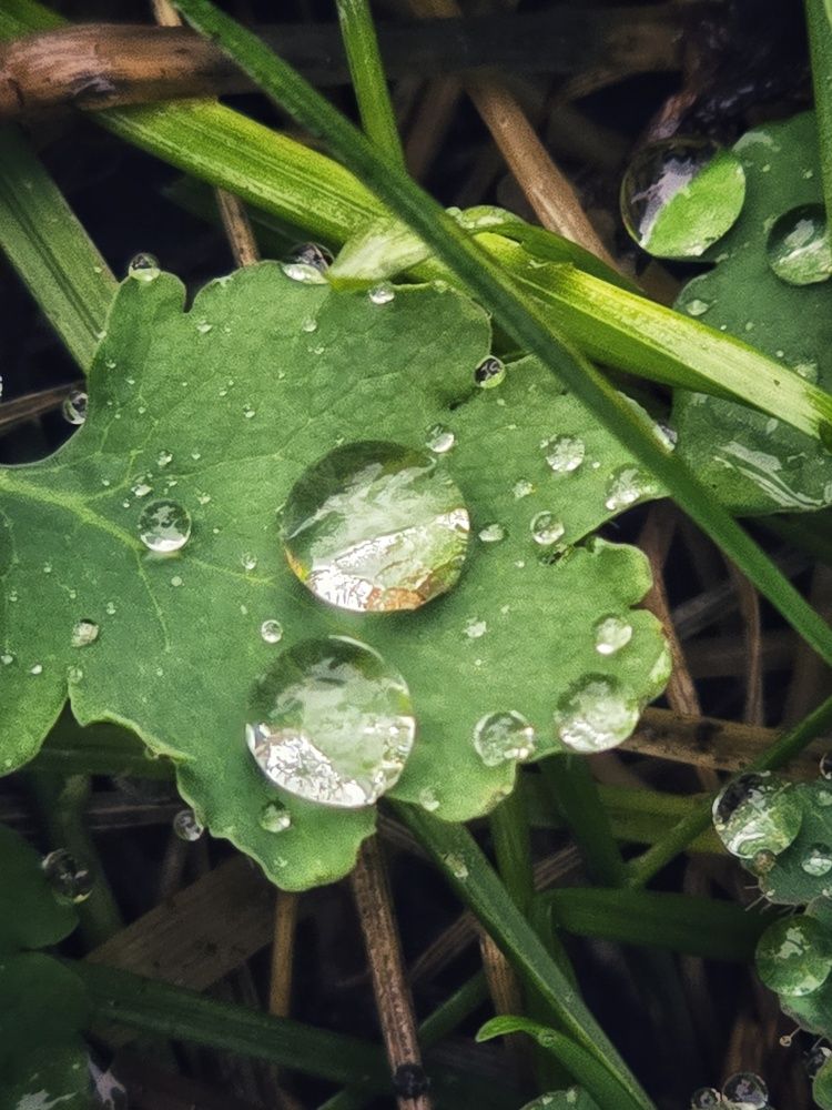 Photograph by Елена Ибрагимова