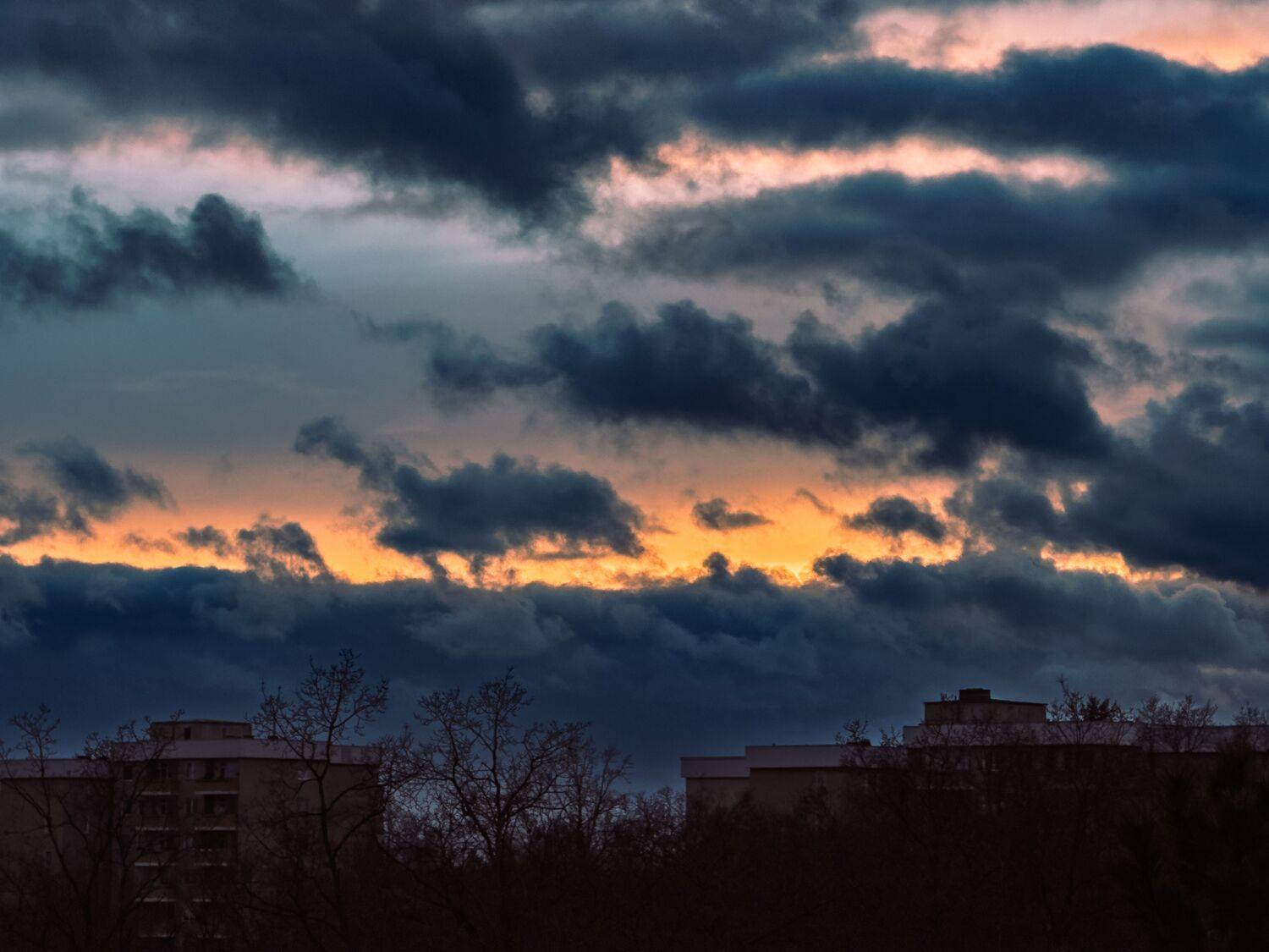 Photo #13550334