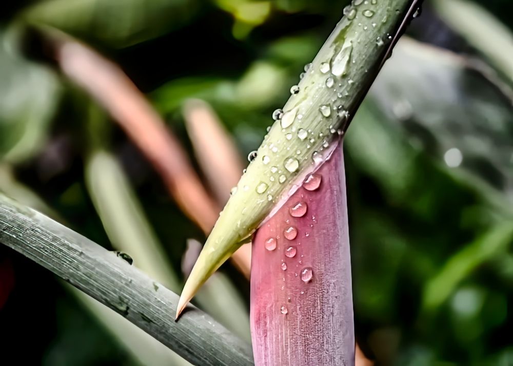 Photograph by Mauro Arlegui