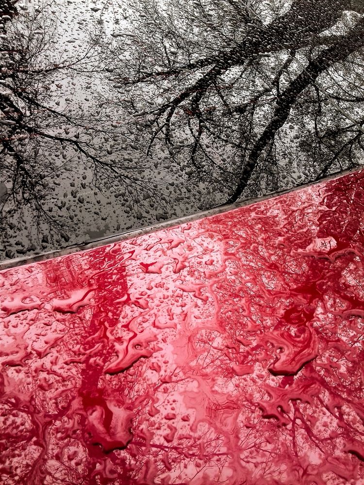 Photograph by Hvabek Kim