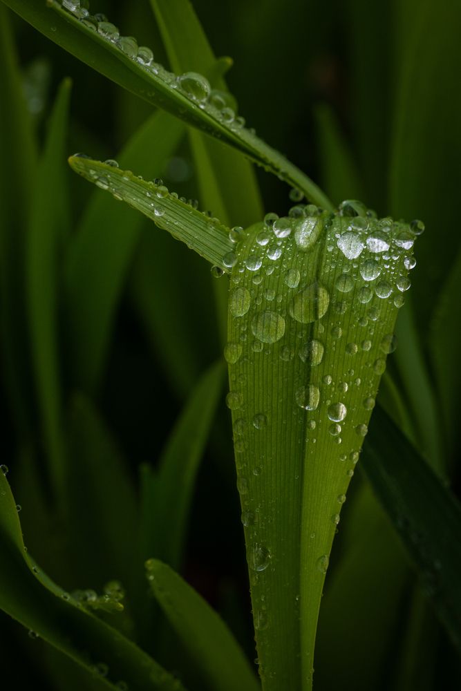 Photo #13550531
