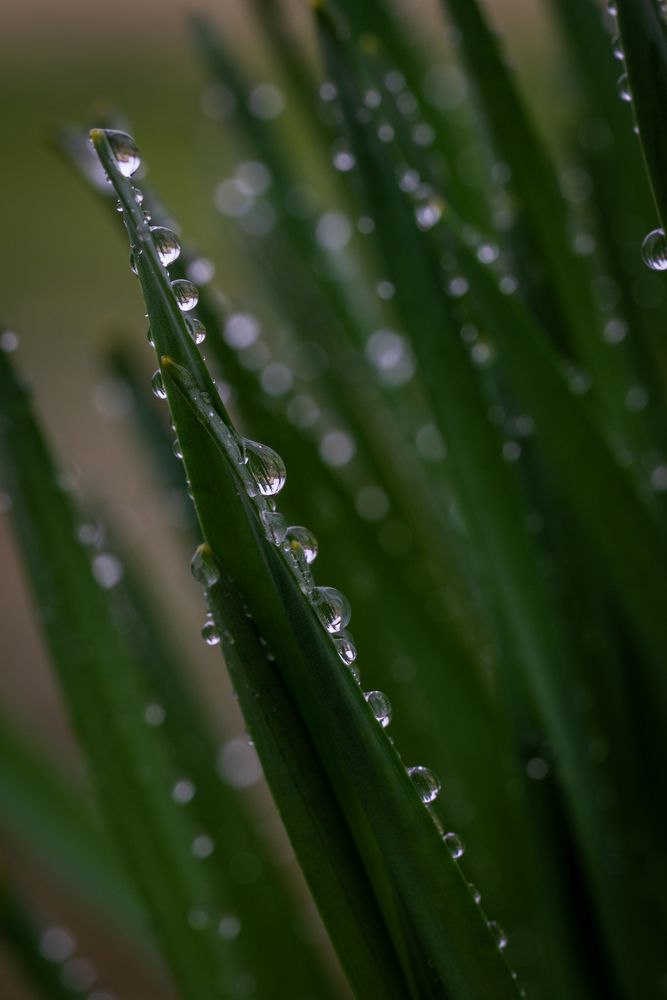 Photo #13550533