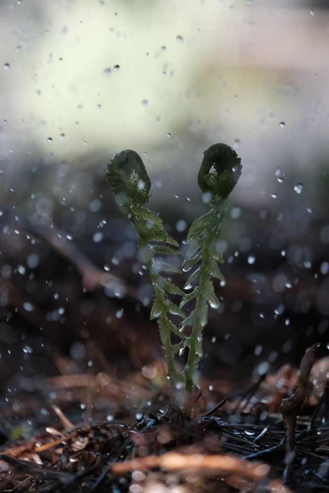 Photograph by Яна Истоцкая