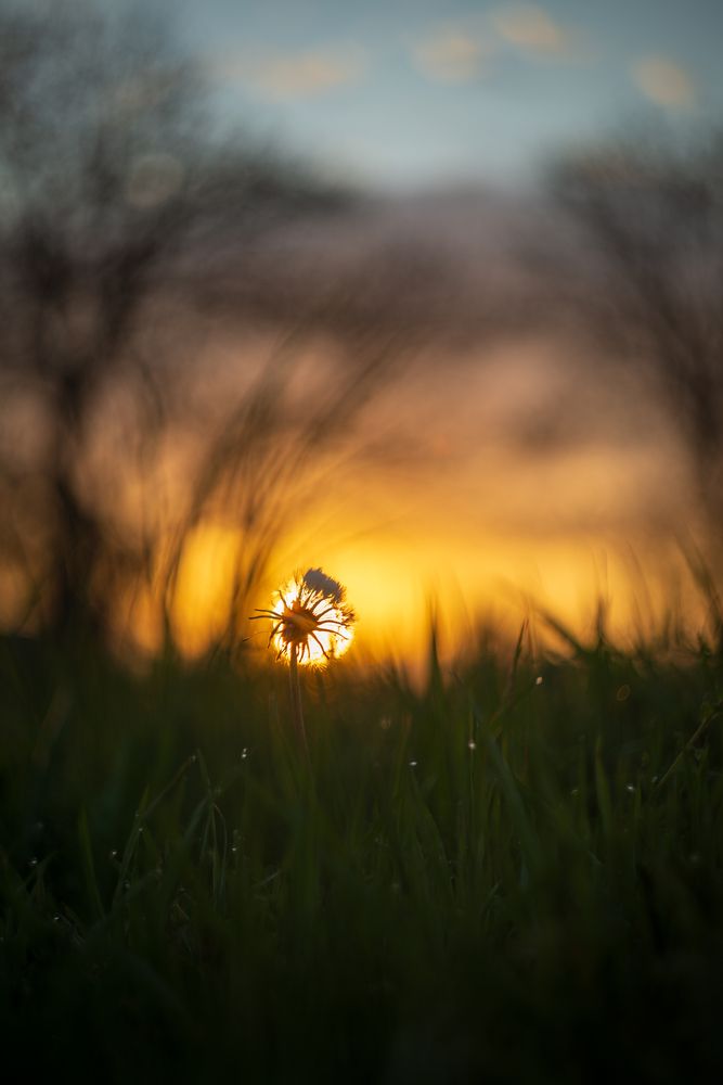 Photograph by BESPAMIATNYI Dmitry