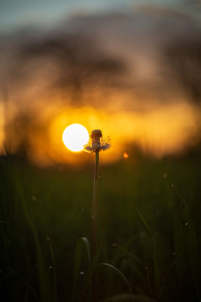 Photograph by BESPAMIATNYI Dmitry