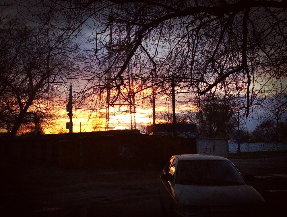 Photograph by Светлана Гуторова