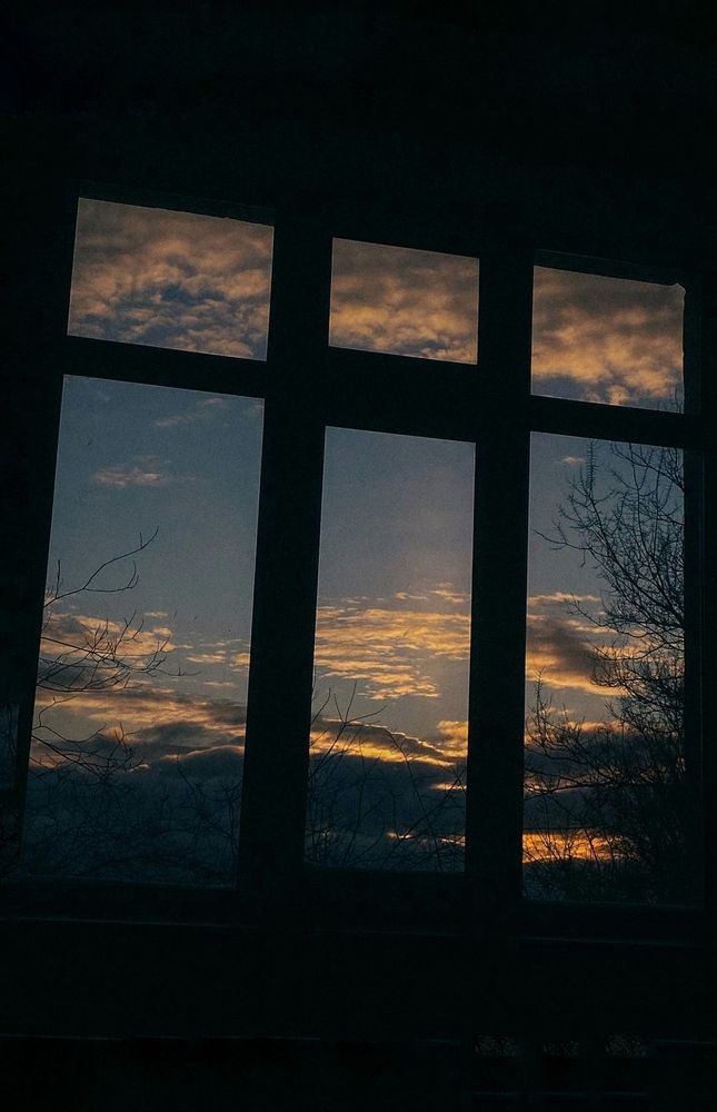 Photograph by Светлана Гуторова