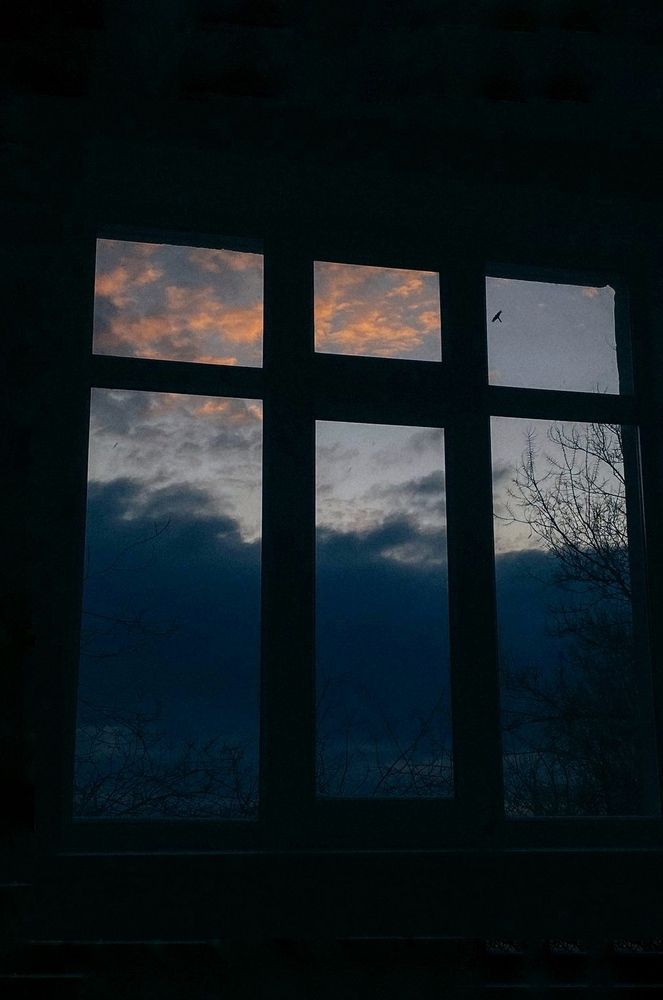 Photograph by Светлана Гуторова