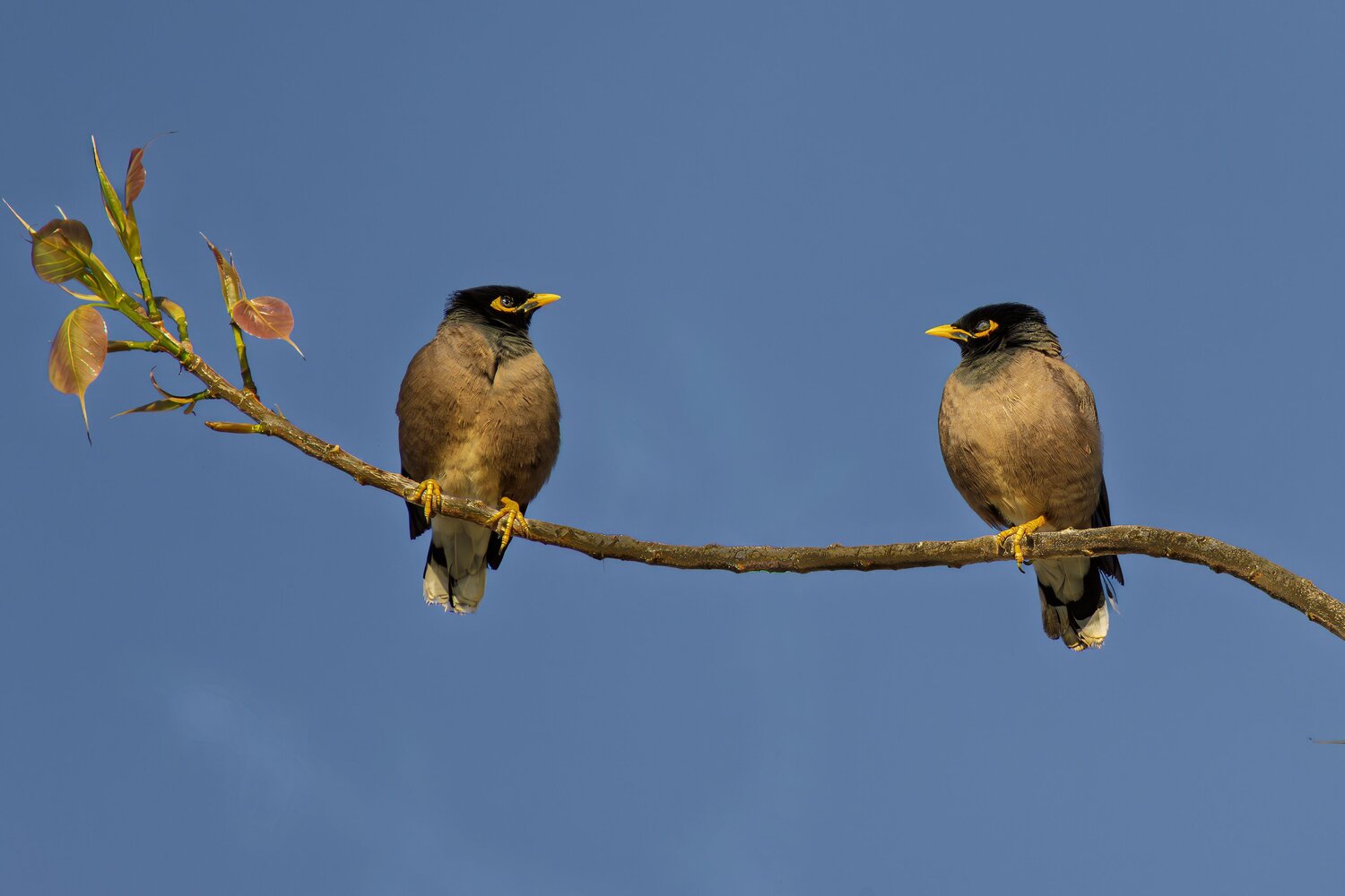 Photo #13550647