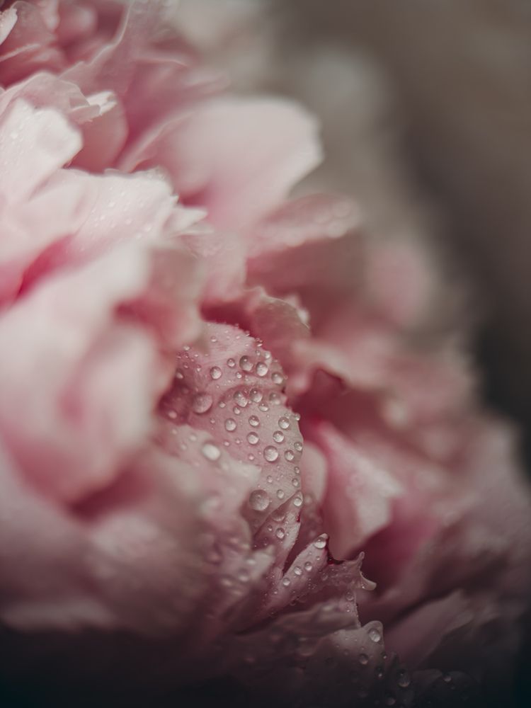 Photograph by Анна Голубцова