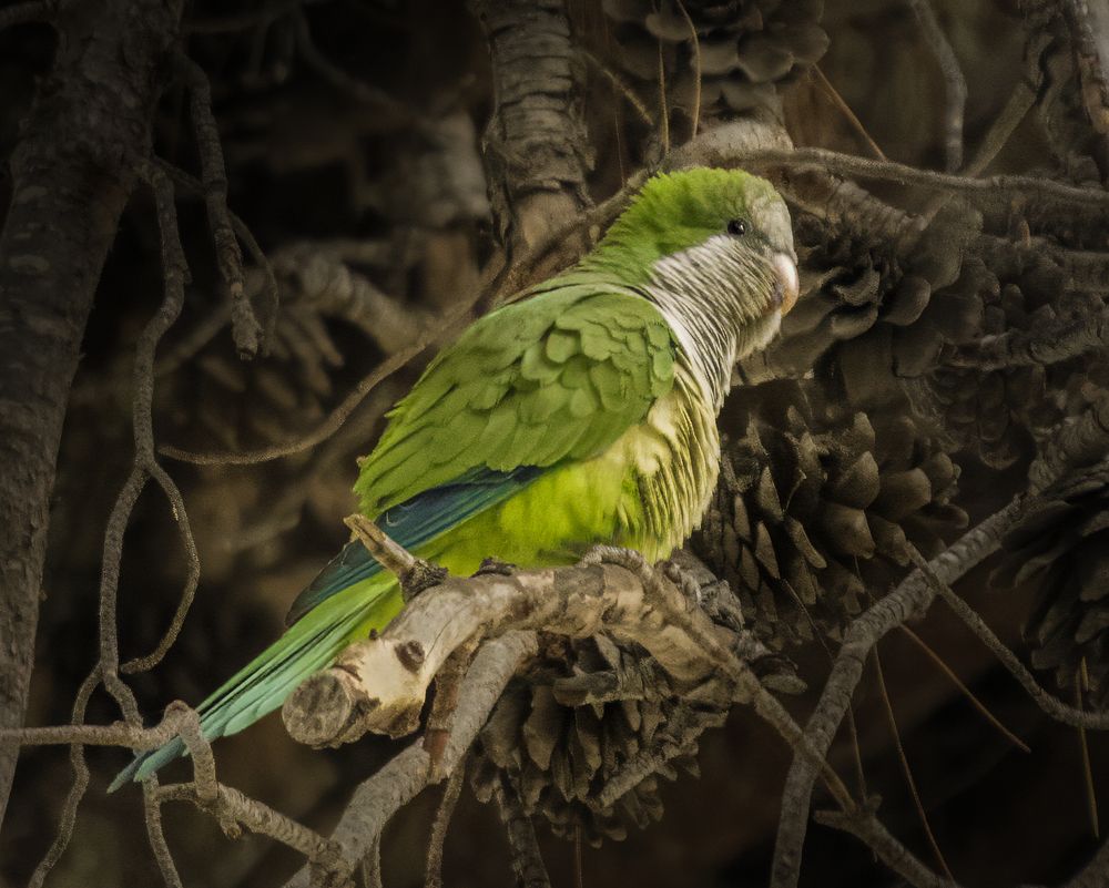 Photograph by Lev Tsenter