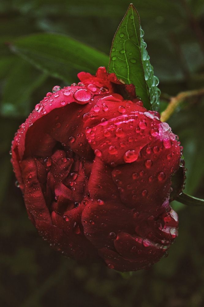 Photograph by Анна Захарчук