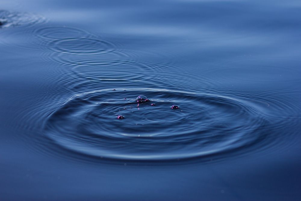 Photograph by Эльвира Лазарева