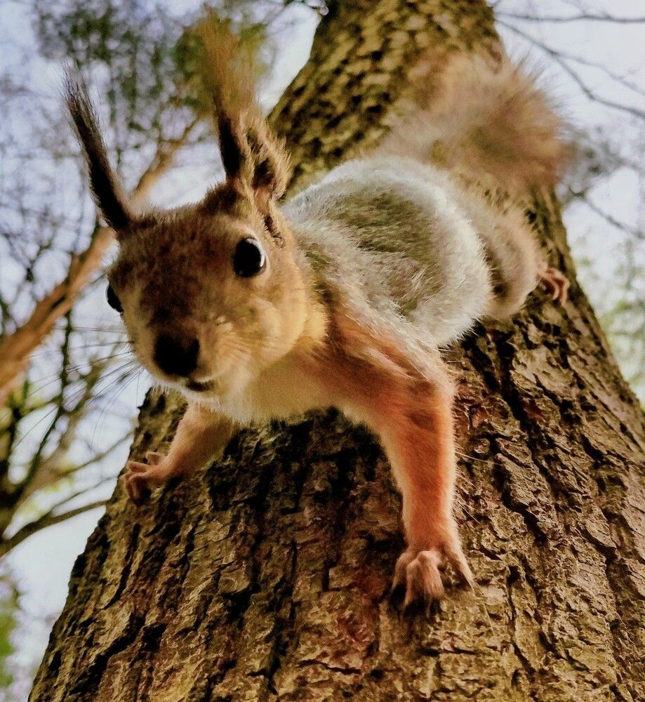 Photograph by Игорь Бахарев