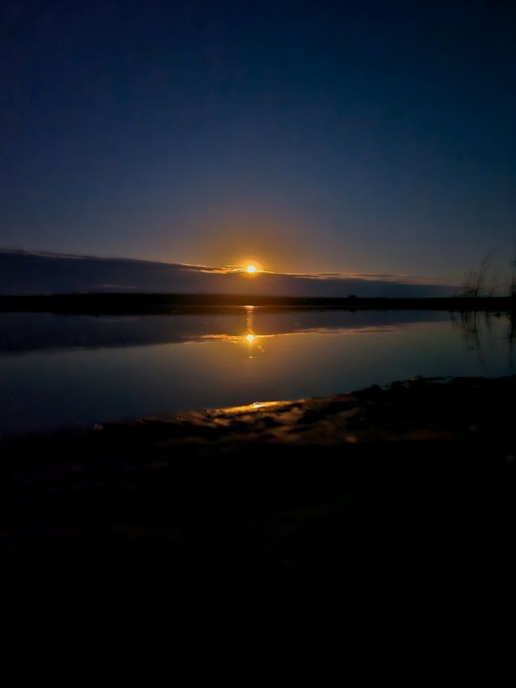 Photograph by Gosha Barmaleykin
