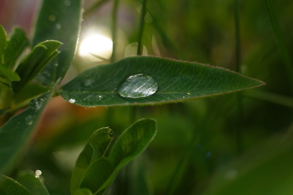 Photograph by Дарья Улюсова
