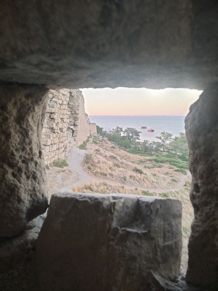 Photograph by Алла Ларина