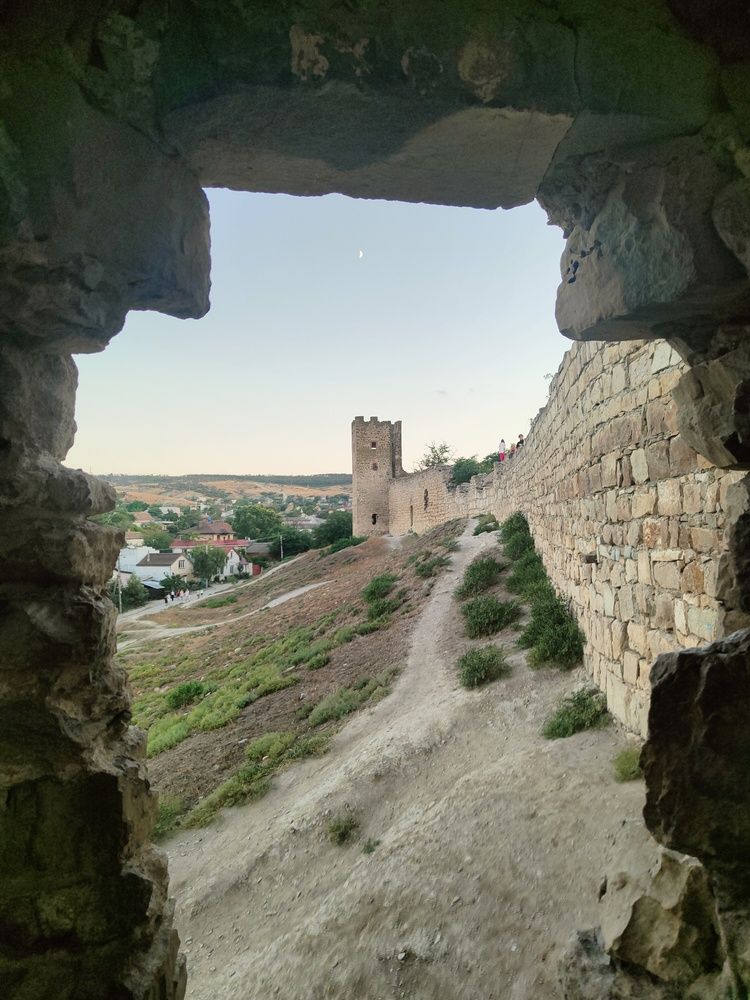 Photograph by Алла Ларина