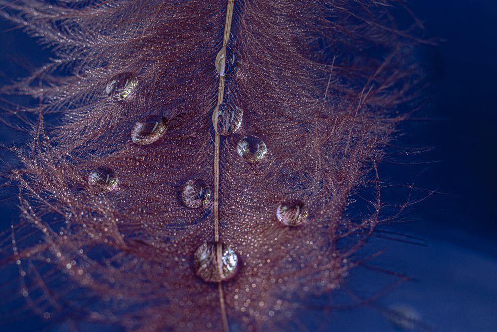 Photograph by Victoria Mogulyan