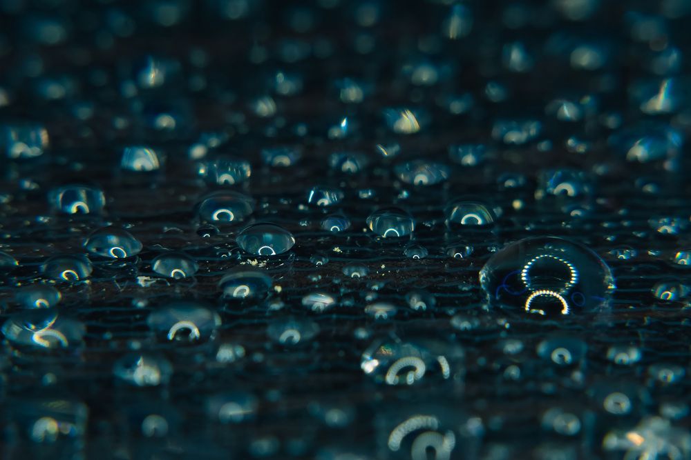 Photo #13551585