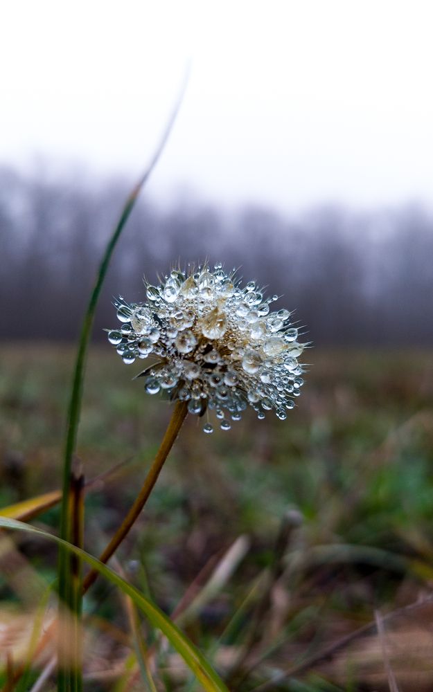 Photograph by Aндрей Иванов