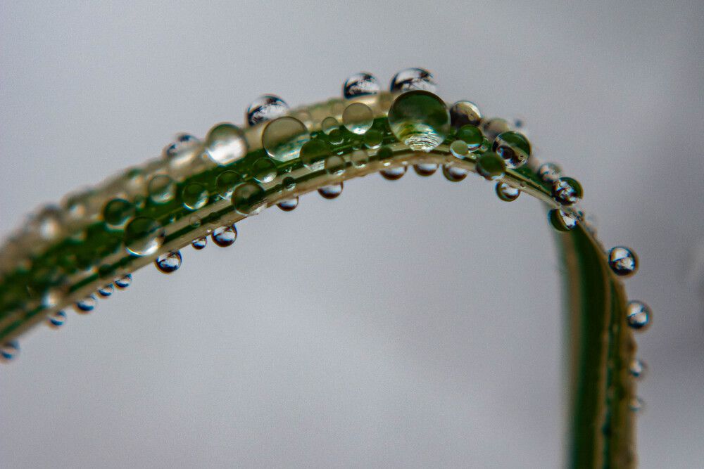 Photograph by Людмила Баймухаметова