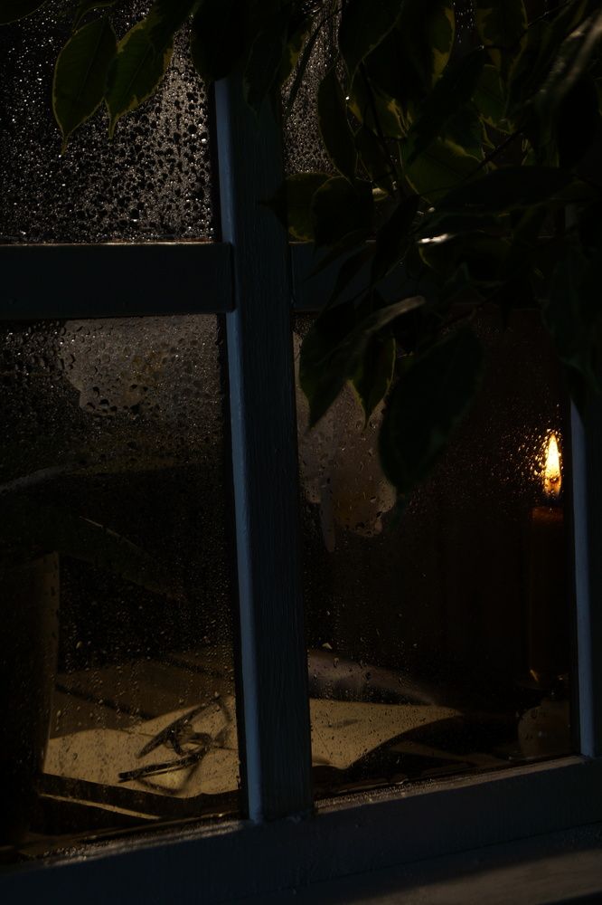 Photo #13551682