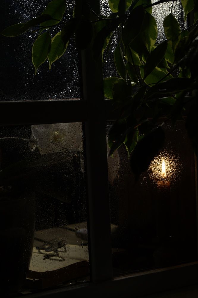 Photo #13551700
