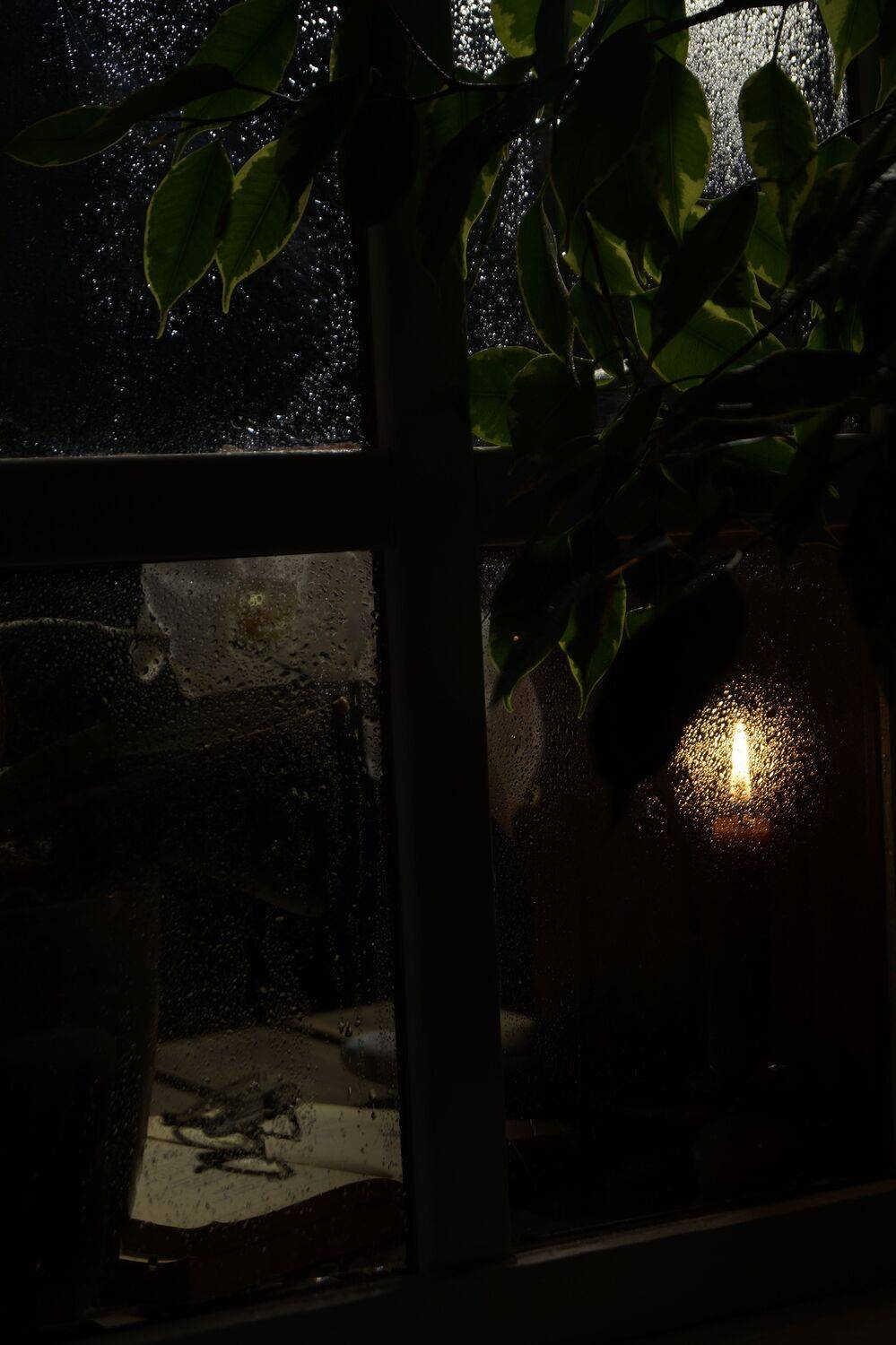 Photo #13551700