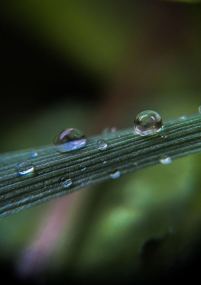 Photograph by Анна Пигулевская