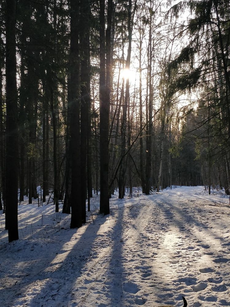 Photograph by Светлана Васильева