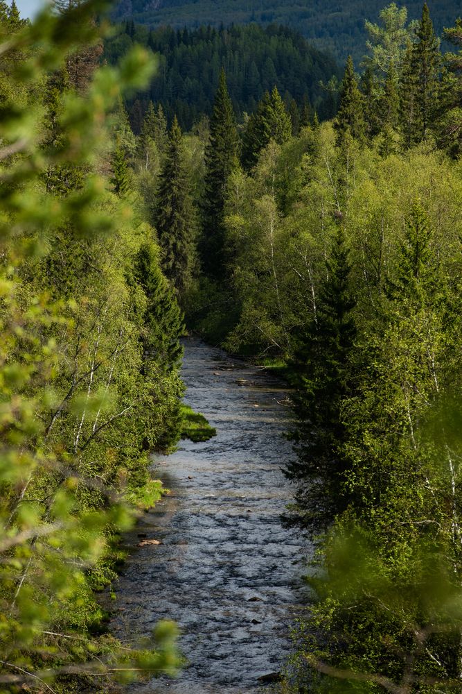 Photograph by Наталия Сметнёва