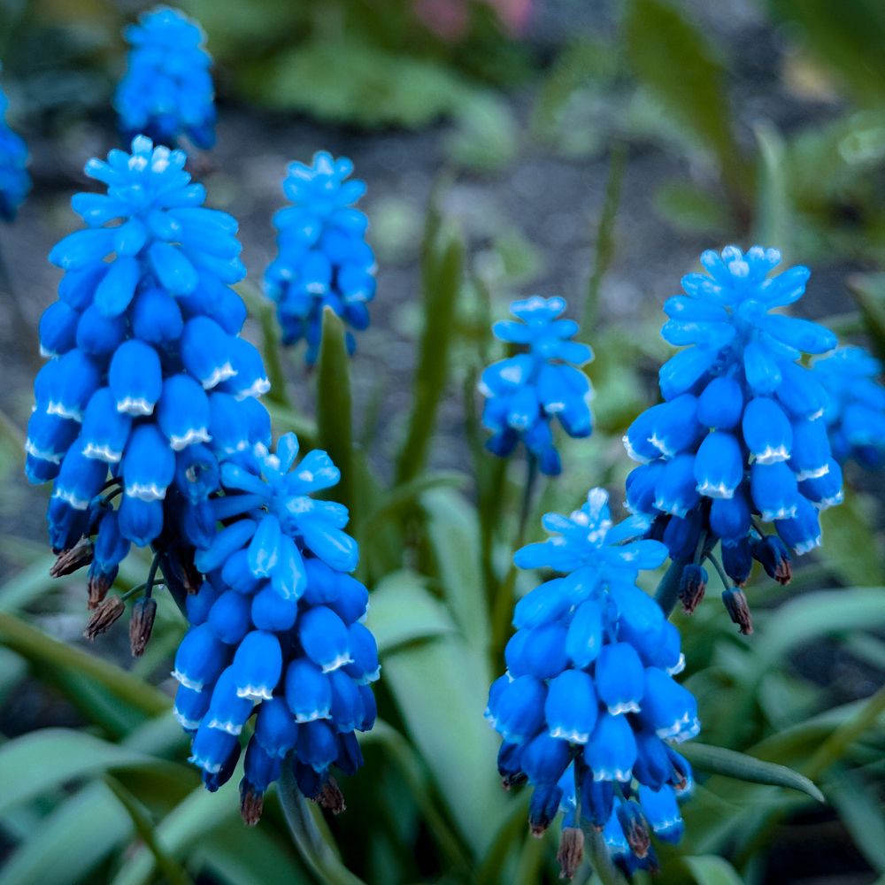 Photograph by Потапова Анна