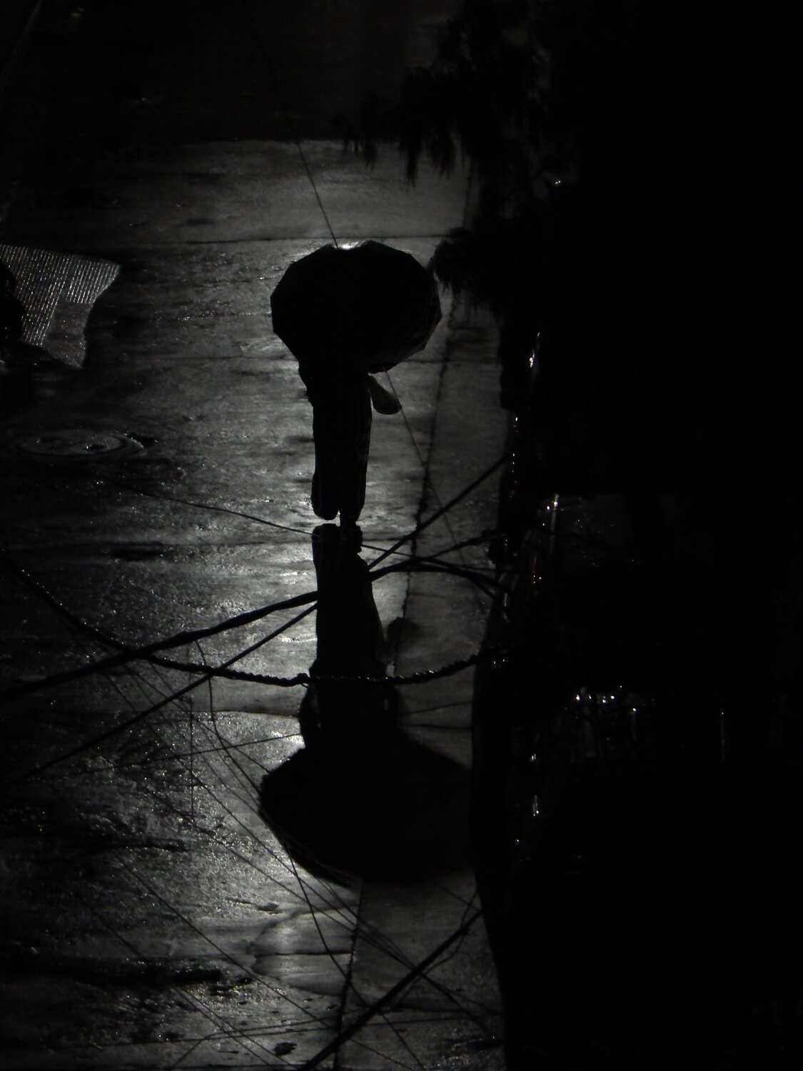 Photo #13552098