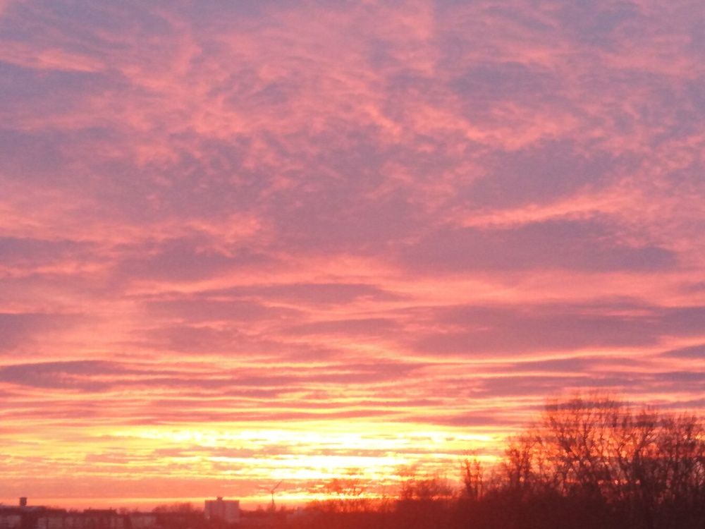 Photo #13552143