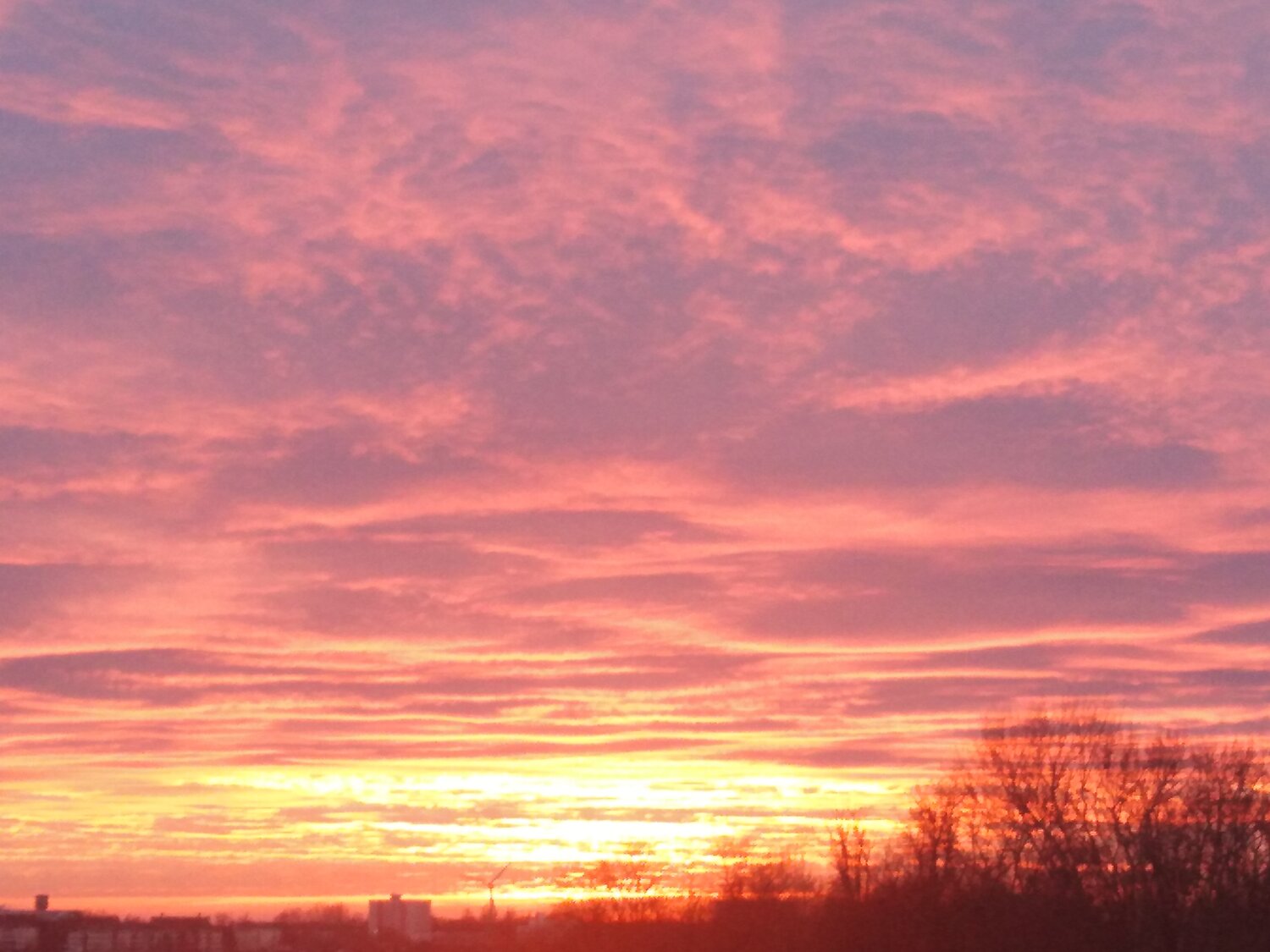 Photo #13552143