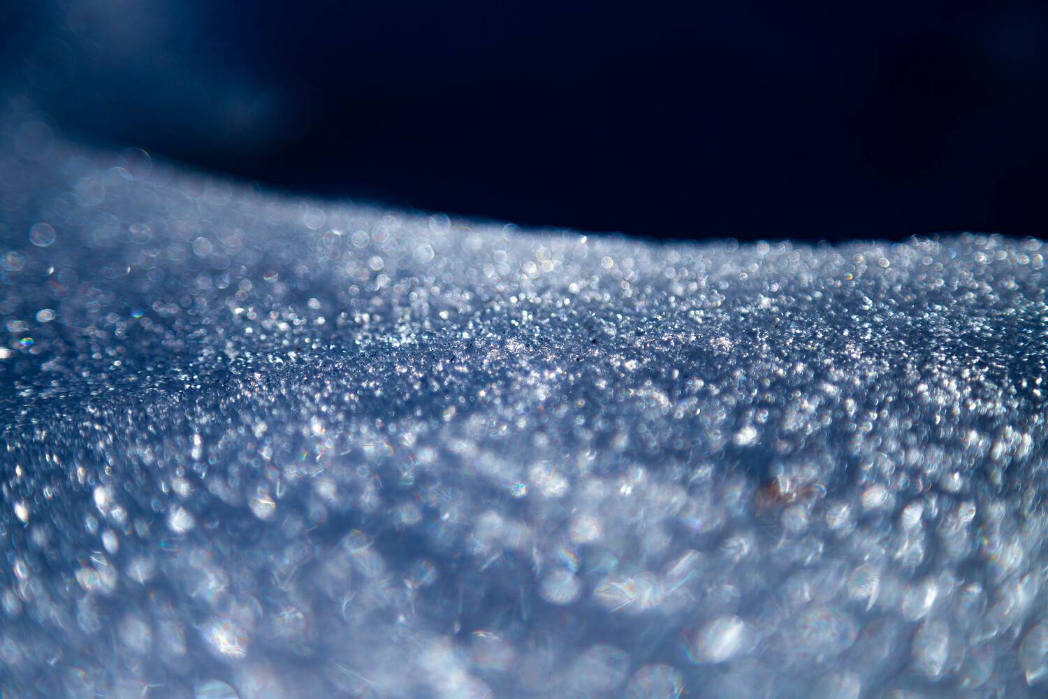 Photo #13552194