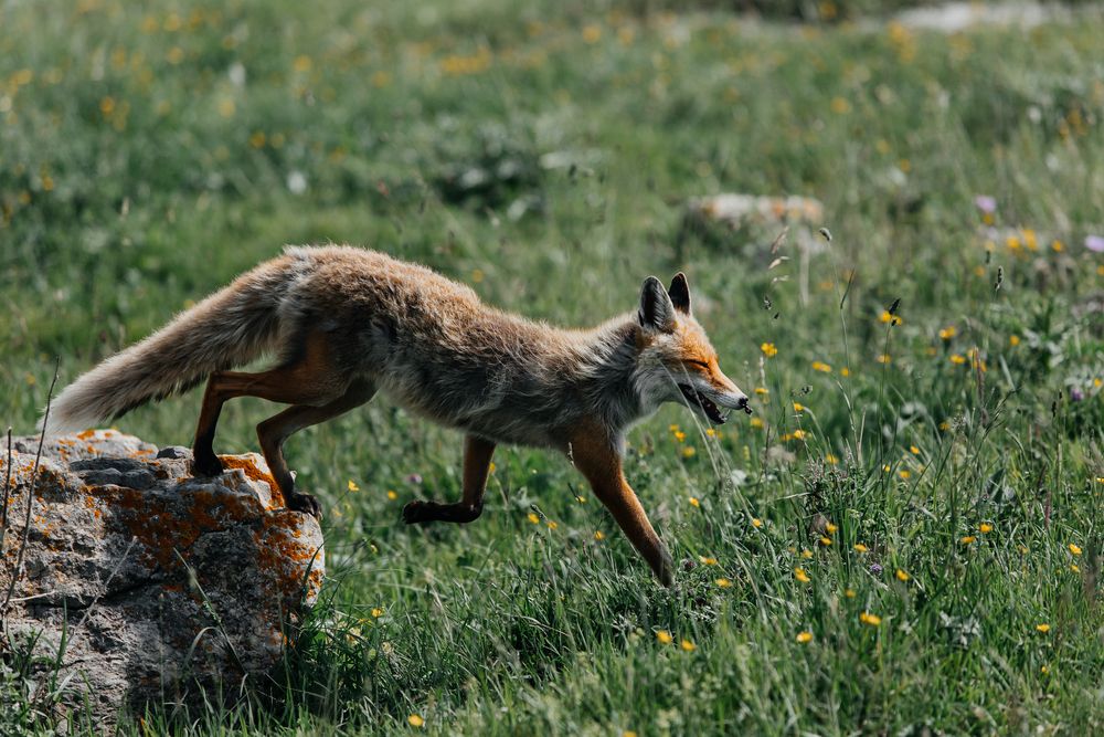 Photograph by Раздорова Мария