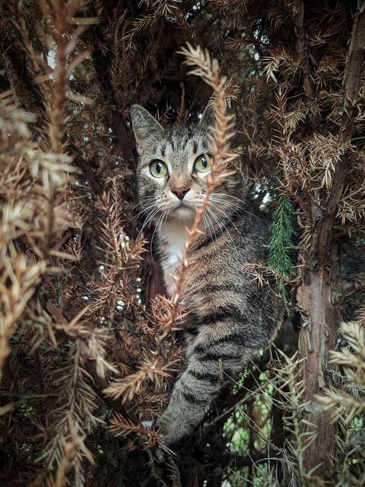Photograph by Наталья Егорова