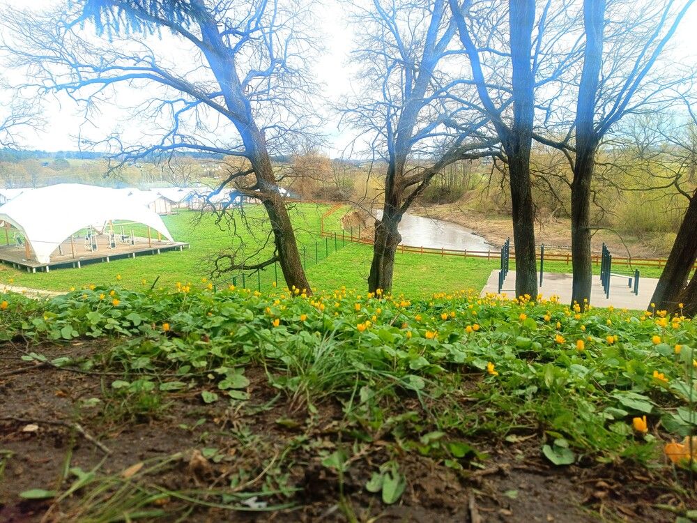 Photograph by Надежда Солдатченкова