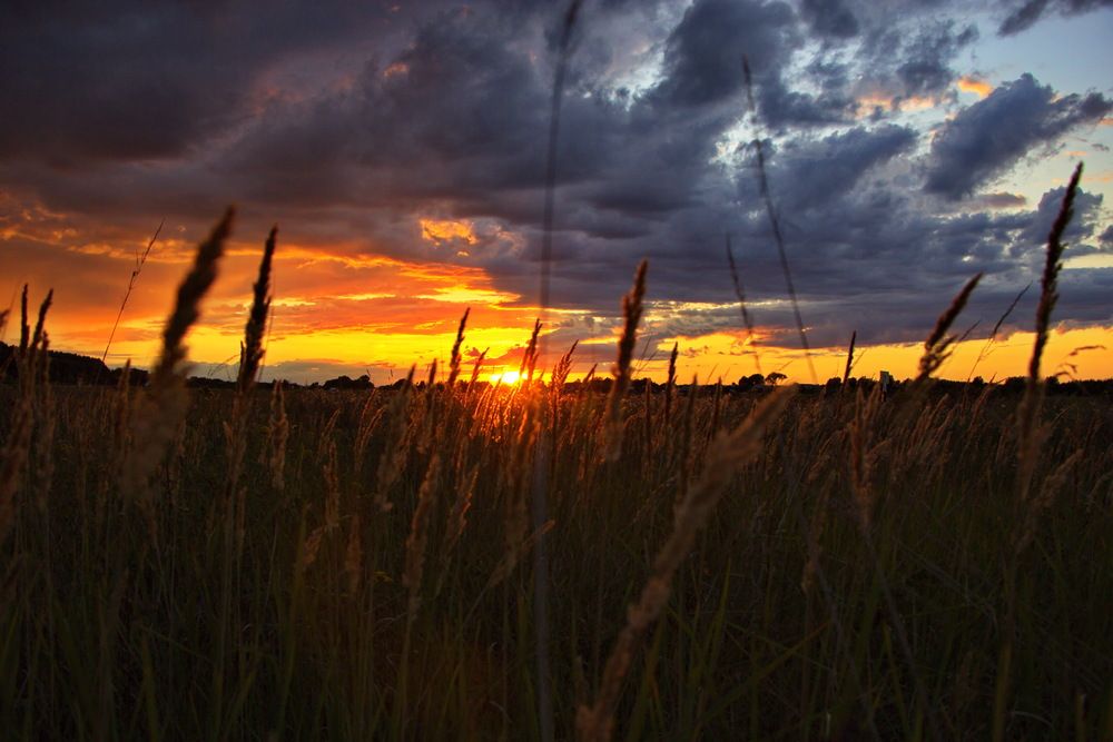 Photograph by Анатолий Борисов