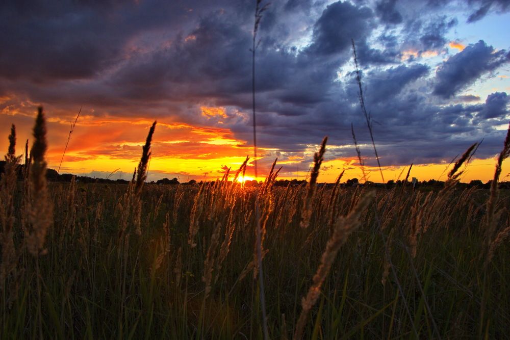 Photograph by Анатолий Борисов