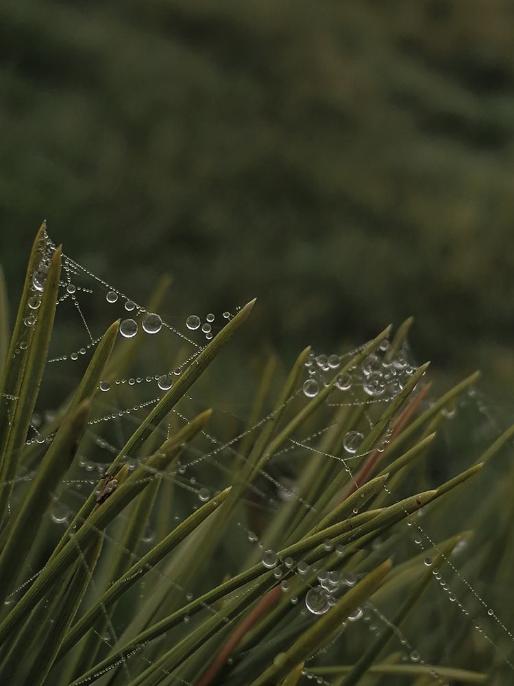 Photograph by Наталия Соболева
