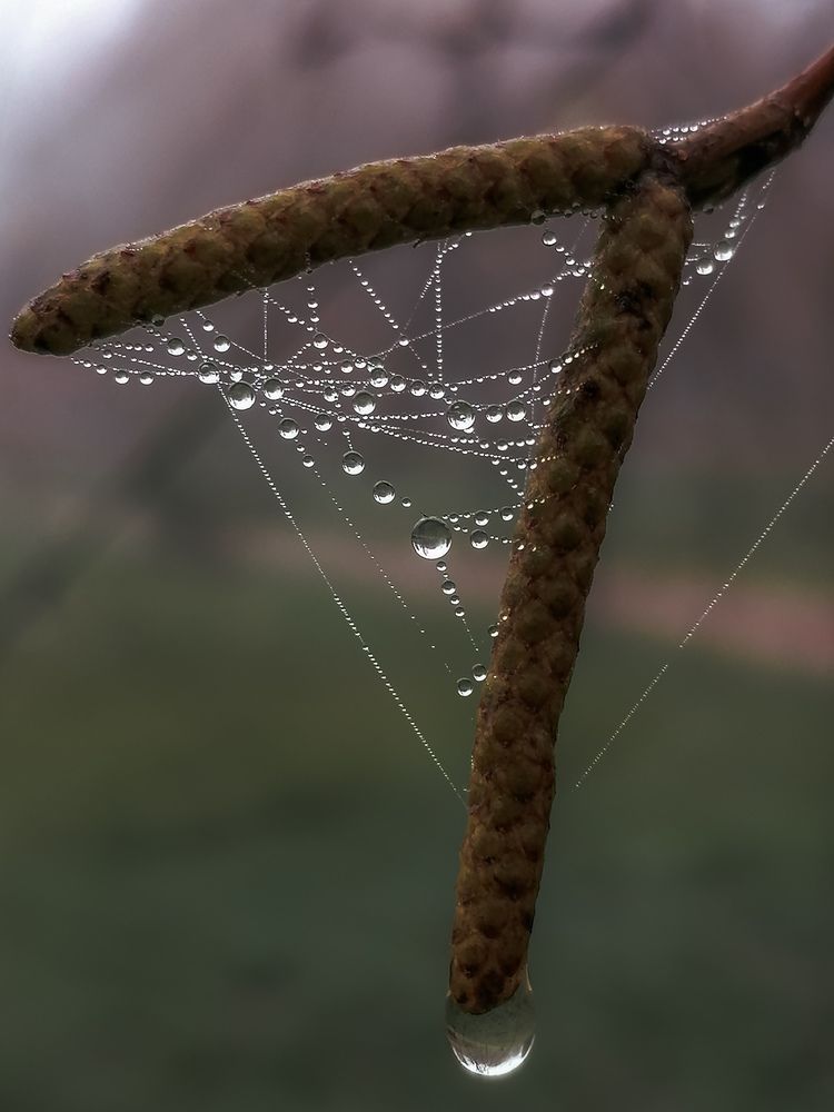 Photograph by Наталия Соболева