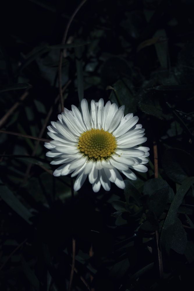 Photograph by Miguel Alejandro Soriano Ruiz